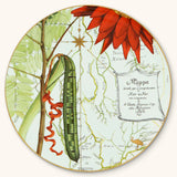 Bajo Plato Amazonia 34 cm. 1 Pieza