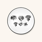 Plato Ensalada Herbariae Blanco