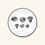 Plato Ensalada Herbariae Blanco