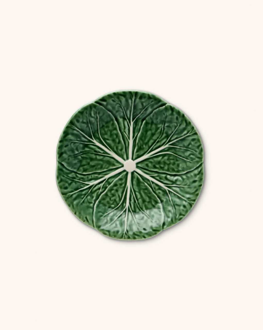 Plato Ensalada Repollo Verde