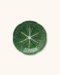 Plato Ensalada Repollo Verde