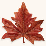 Plato Extra Grande Hoja Sicomoro 72 cm