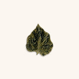 Plato Hoja Abedul Verde 17 cm 