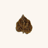 Plato Hoja Chica Abedul Café 17 cm