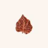 Plato Hoja Chica Abedul Naranja 17 cm