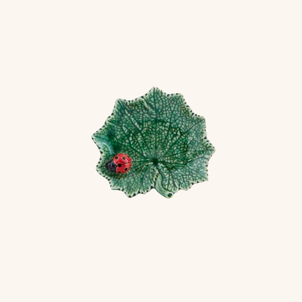 Plato Hoja Cineraria con Catarina.