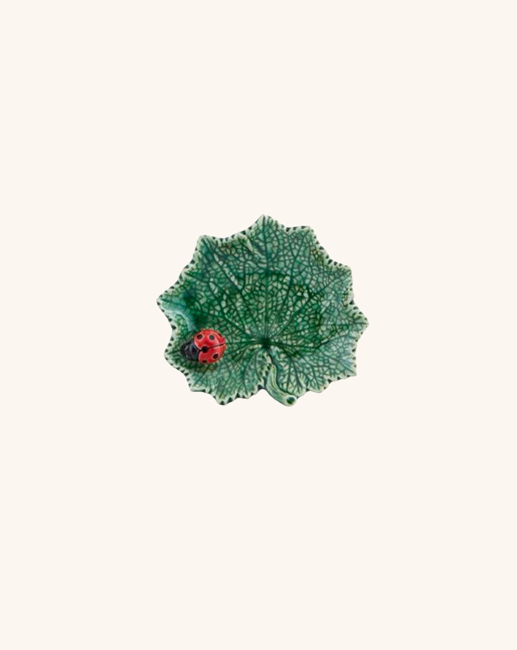 Plato Hoja Cineraria con Catarina.