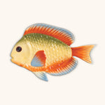 Plato Pez Arcoíris