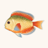 Plato Pez Arcoíris