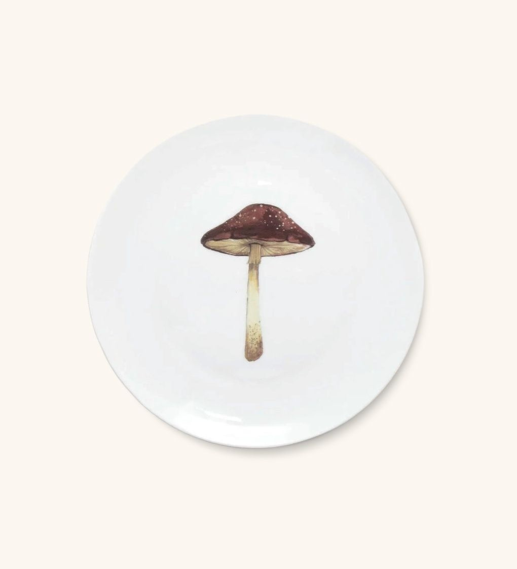 Platos para Ensalada con Hongo