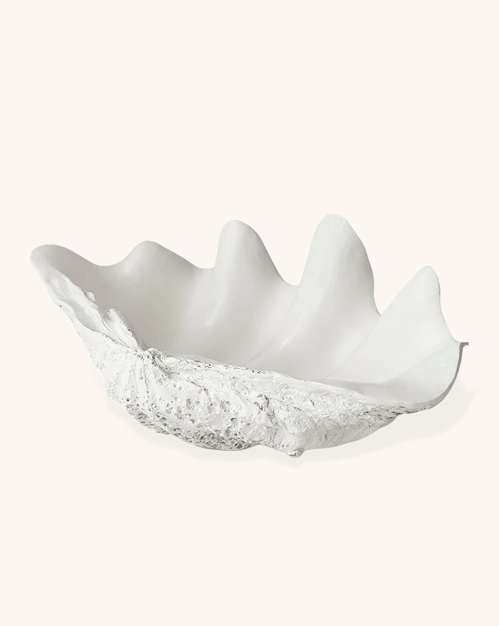 Platón en Forma de Concha Marina de Resina Blanca.