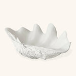 Platón en Forma de Concha Marina de Resina Blanca.