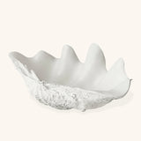 Platón en Forma de Concha Marina de Resina Blanca.