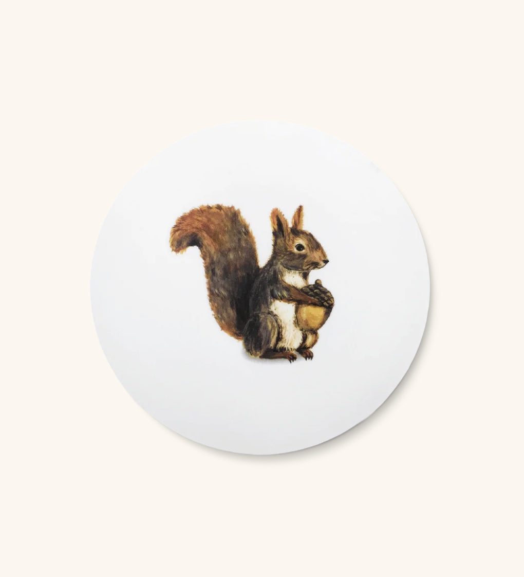 Platos para Ensalada con Ardilla