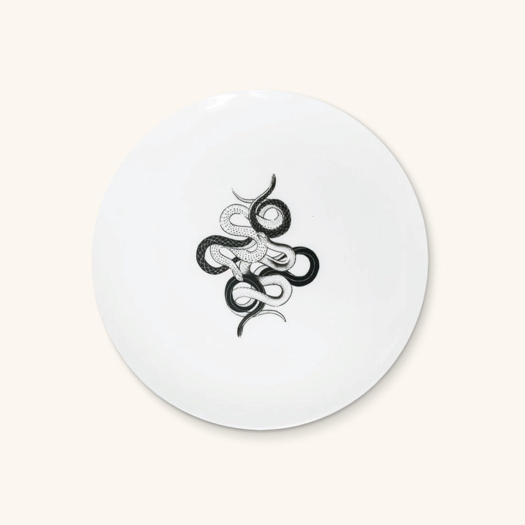 Platos para Ensalada con Culebras