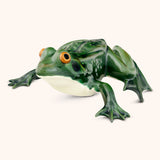 Rana Grande Acostada