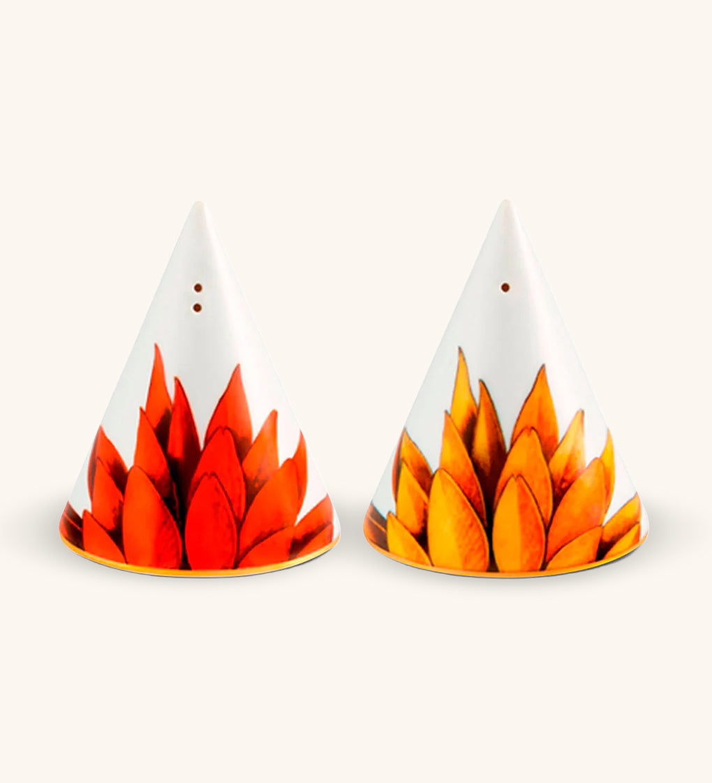 Salero y Pimentero Amazonia