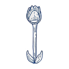 Servilletero de Tulipán en Lino Blanco con Bordado Azul. Set de 4