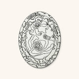 Set de 3 Platos para Servir con Mapa Topográfico de Volcán02