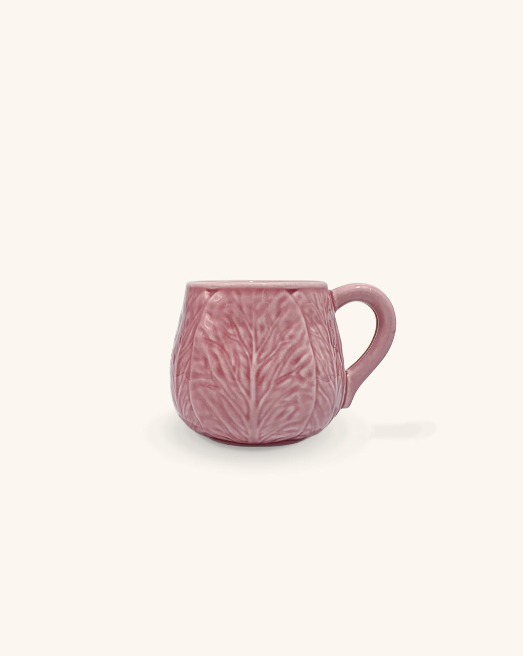 Taza_de_Repollo_Rosa_Flamingo