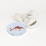 HIGH TIDE ZASHPACK: Set de 4 Platos de Ensalada con Pez con Set de 3 Floreros de Cerámica en Forma de Conchas.