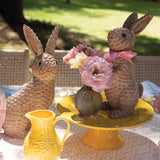 Pastelero de Repollo Amarillo Canario 30 cm.