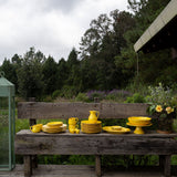 Plato Trinche de Repollo Amarillo Canario. Set de 4