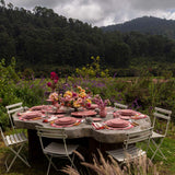 Plato Trinche de Repollo Rosa Flamingo. Set de 4