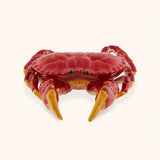 Buey de Mar Decorativo