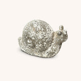 Caracol de Piedra para Decorar