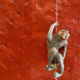 Mono Decorativo