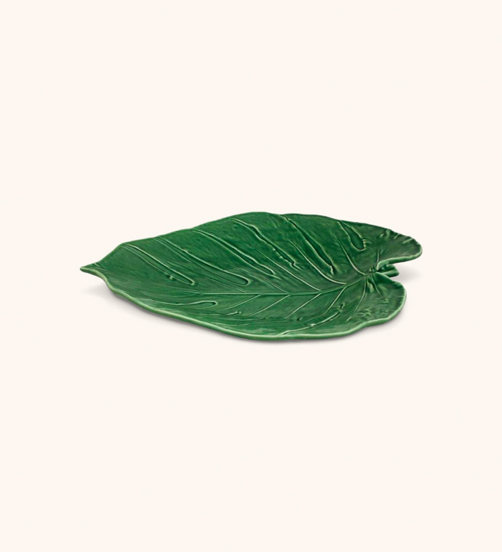 Fuente Costilla de Adan Leaves 43 cm