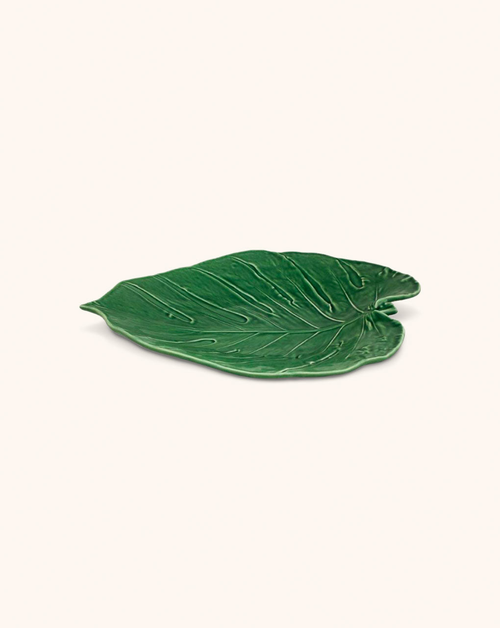 Fuente Costilla de Adan Leaves 43 cm