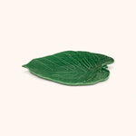 Fuente Costilla de Adan Leaves 43 cm