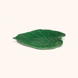 Fuente Costilla de Adan Leaves 43 cm