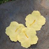 Coctelera en Forma de Hibiscus Amarillo, Set de 4