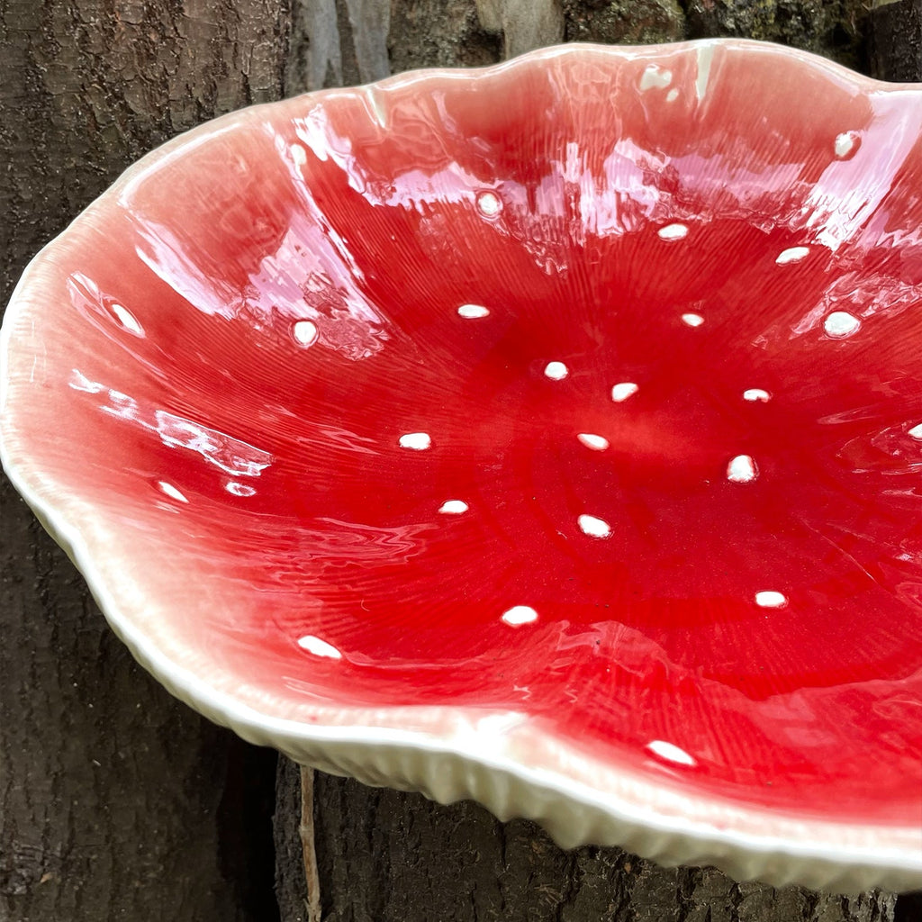 Frutero Hongo 40 cm