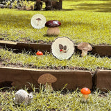 Caja Hongo Mediana 18 cm