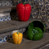 Caja Pimiento Amarillo Chica 14 cm