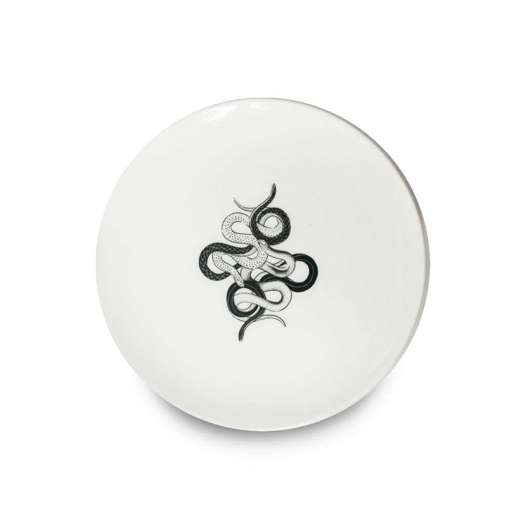 plato serpientes, plato culebras, plato ilustrado, plato de porcelana, plato mediano, plato ensalada marca Zash