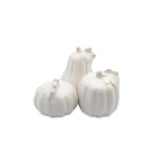 Set de 3 Calabazas de Cerámica Pequeñas para Decorar la Mesa, en Blanco