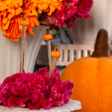 Set de 6 Pinchos Artesanales de Calabaza Naranja