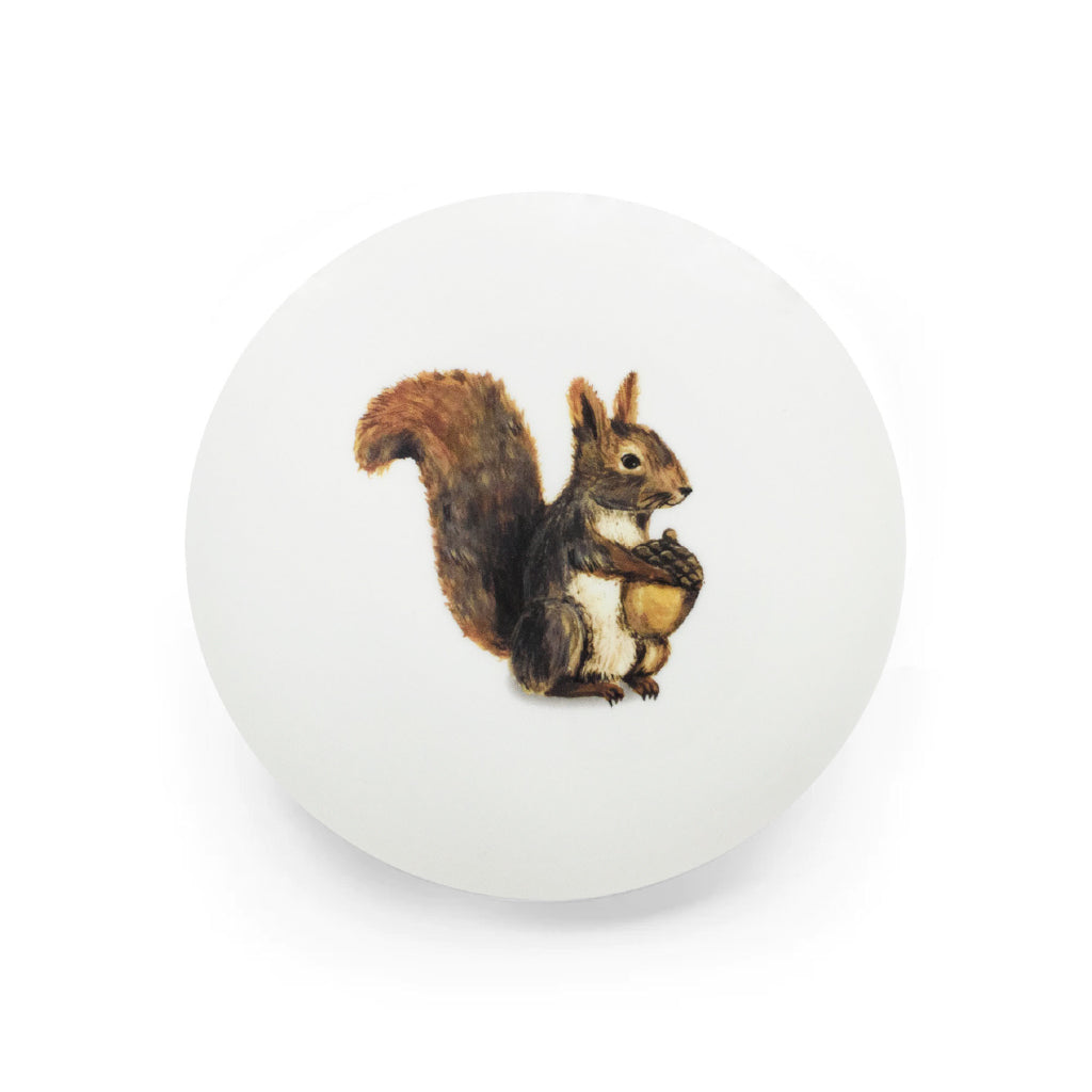 Plato ardilla, squirrel plate, plato de ensalada, plato mediano, plato de porcelana, plato ilustrado, plato otoño marca Zash