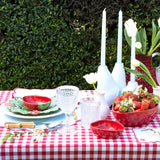 Mantel de Mesa de Cuadros Rojo y Blanco de 2 x 3 m.